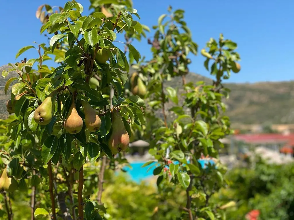 Pacifae Hotel Kateleios